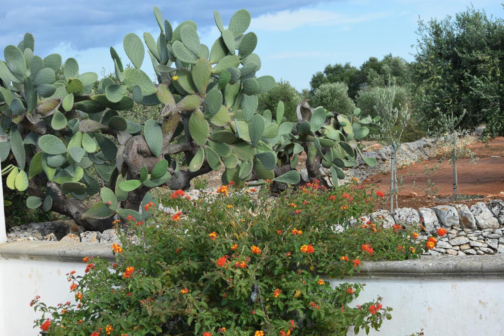 Villa Mimi Ostuni Exterior photo